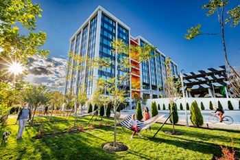 a park with hammocks and trees in front of a building